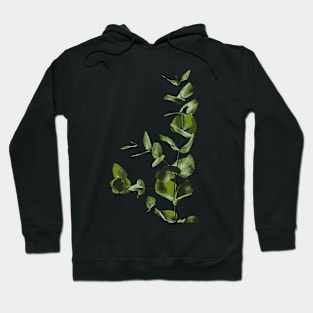 foliage Hoodie